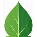 Sustainable leaf icon representing eco-friendliness